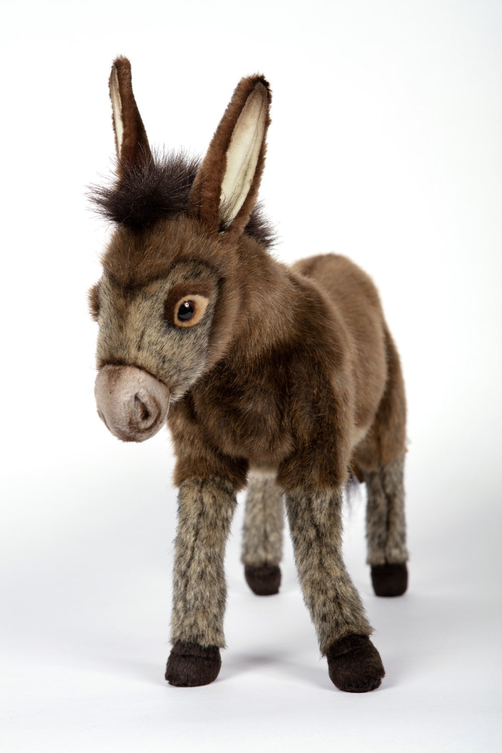 Hansa Donkey