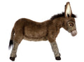Hansa Donkey