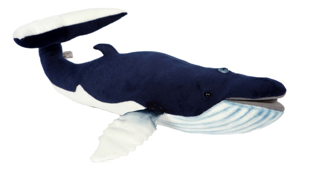 Hansa Humpback Whale