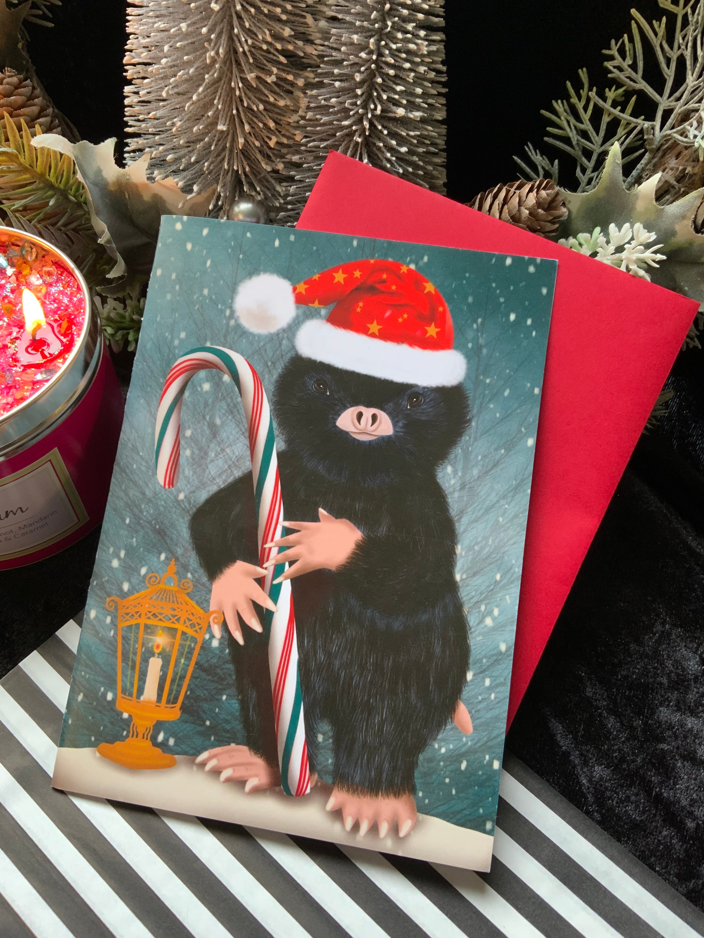 Tis the Season HH008